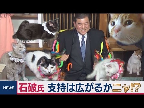 「ポスト安倍」NO.1、石破茂氏がネコに“公約”発表・・・支持は広がるかニャ!?