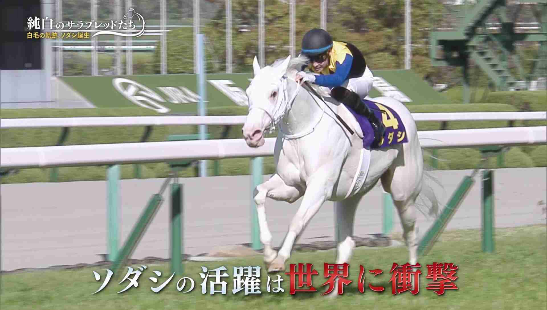ZEE ZEE商事秋の社員旅行へ行こうぜぇ【スギちゃん雑談】【Part111】