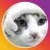 Ken Sugar ? kensugar.bsky.social on X