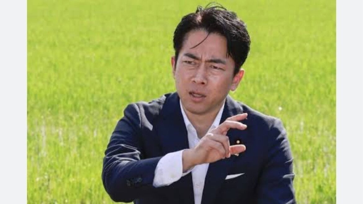 オンライン署名 · 小泉進次郎を総理大臣にしないでください！ - 日本 · Change.org