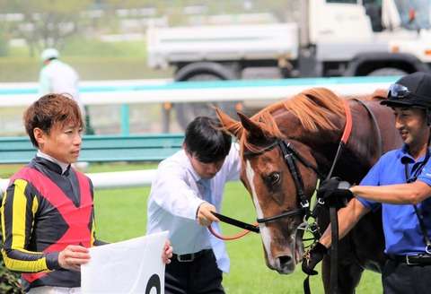 池添を見るオルフェの妹デルニエオールが目付きがヤバすぎるｗｗｗｗ ｜ ☆うまなみ・競馬にゅーす速報