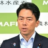 >>20手下の支那のスパイである英利アルフィヤもまた政務官にねじこんできそうで進... | ガールズちゃんねる - Girls Channel -