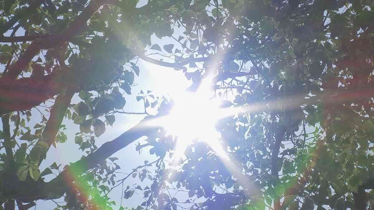 この夏の日本「危険な高温」の日数は62日に　ほぼ全人口が30日以上「危険な高温」を経験　米研究機関が分析 | TBS NEWS DIG