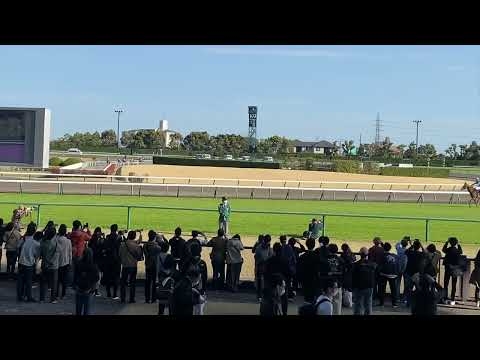 2022年高松宮記念（現地）「丸田もっと喜べ」丸田恭介騎手への暖かい野次