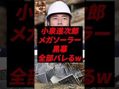 ㊗️120万再生！小泉進次郎、メガソーラー黒幕全部バレるw