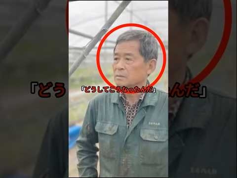 韓国シャインマスカット産業が完全崩壊…日本からの恐るべき仕返しに世界が震撼した理由