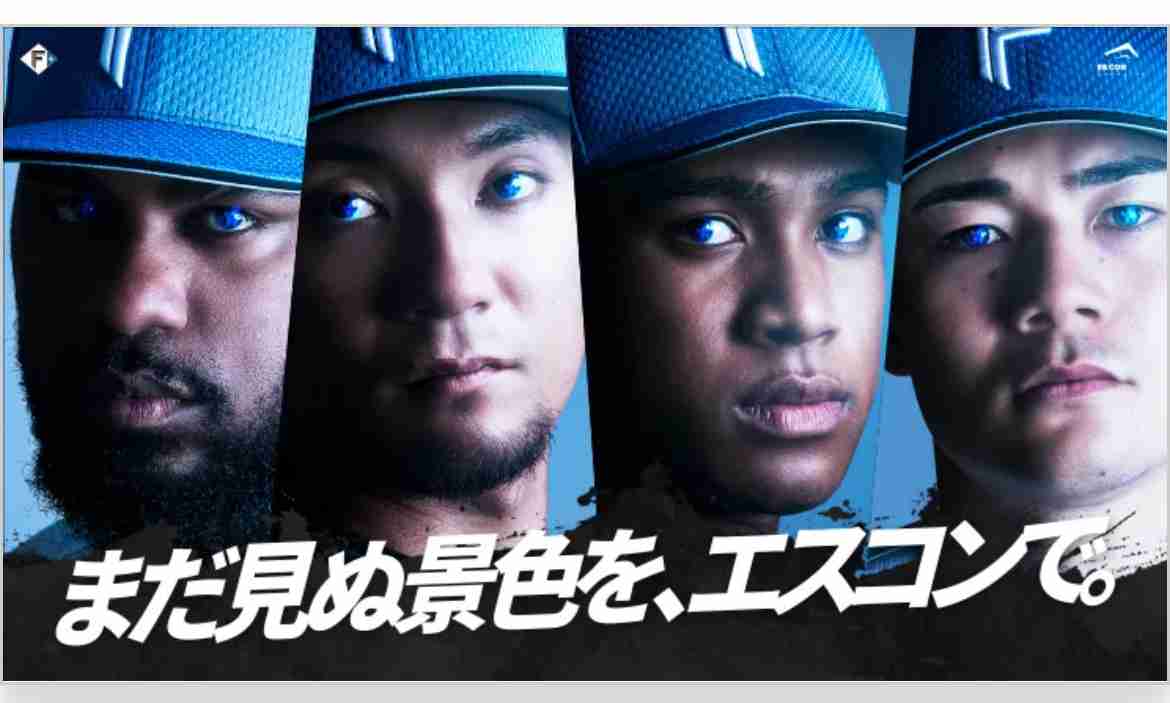 日本ハムファイターズ応援トピ