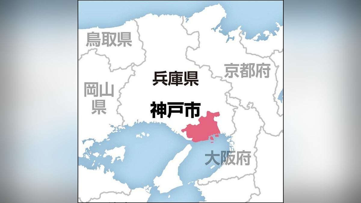 腹腔鏡手術で対象外の卵巣を摘出、執刀医が誤認…ホルモンバランスの変化で更年期症状が出現する可能性も：地域ニュース : 読売新聞