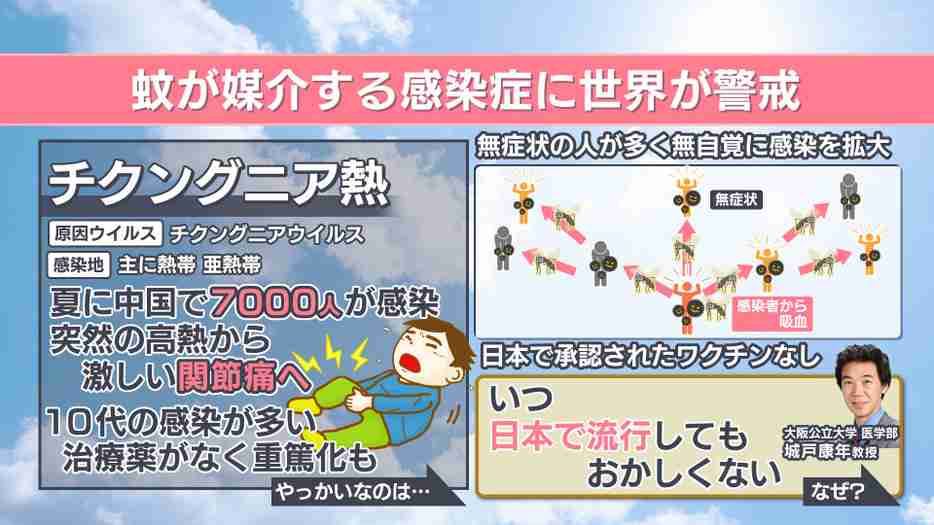 「血が止まらない」デング熱が日本で流行する恐れも　温暖化で蚊が媒介する感染症リスク高まる　中国で流行「チクングニア熱」って？　デング熱感染も経験の専門家が解説