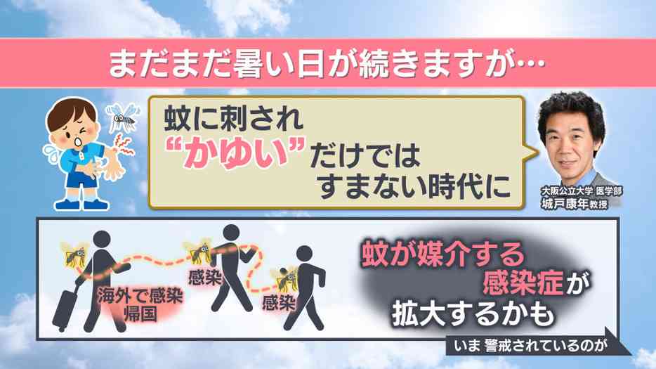 「血が止まらない」デング熱が日本で流行する恐れも　温暖化で蚊が媒介する感染症リスク高まる　中国で流行「チクングニア熱」って？　デング熱感染も経験の専門家が解説