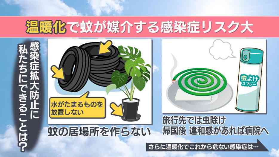 「血が止まらない」デング熱が日本で流行する恐れも　温暖化で蚊が媒介する感染症リスク高まる　中国で流行「チクングニア熱」って？　デング熱感染も経験の専門家が解説