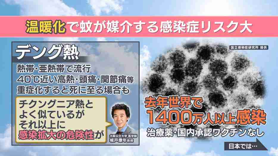 「血が止まらない」デング熱が日本で流行する恐れも　温暖化で蚊が媒介する感染症リスク高まる　中国で流行「チクングニア熱」って？　デング熱感染も経験の専門家が解説