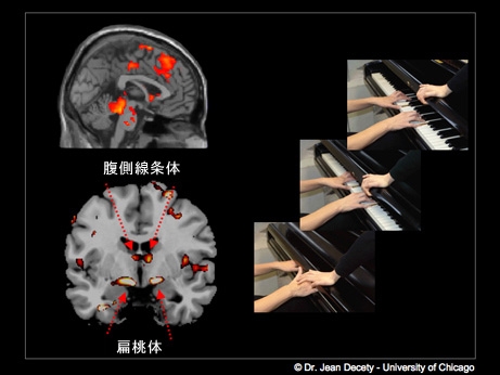 人の災難を喜ぶいじめっ子の脳 | ナショナル ジオグラフィック日本版サイト