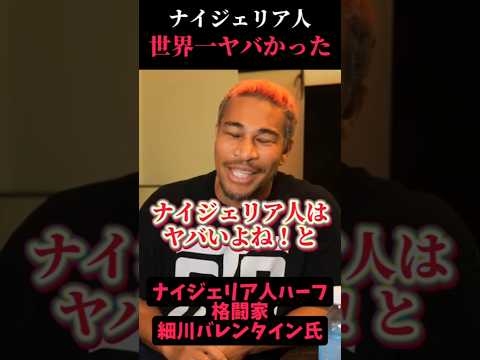 【悲報】ナイジェリア、世界一ヤバかった…　#自民党 #アフリカホームタウン　#細川バレンタイン #jica #石破茂 #岩屋毅 #岩屋外務大臣