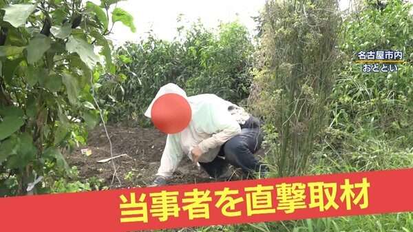【危険】河川敷で“ヤミ畑”横行…「日本語わからない」外国人の姿も　私有地と国有地の境界が“曖昧”　行政代執行に大きな壁｜FNNプライムオンライン
