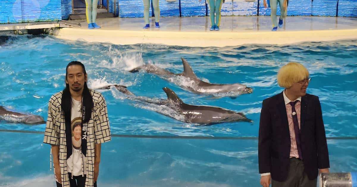 真空ジェシカ「人間代表として戦ったが相手が上手」　江ノ島で哺乳類のイルカとの〝ネタ対決〟で敗北 - サンスポ