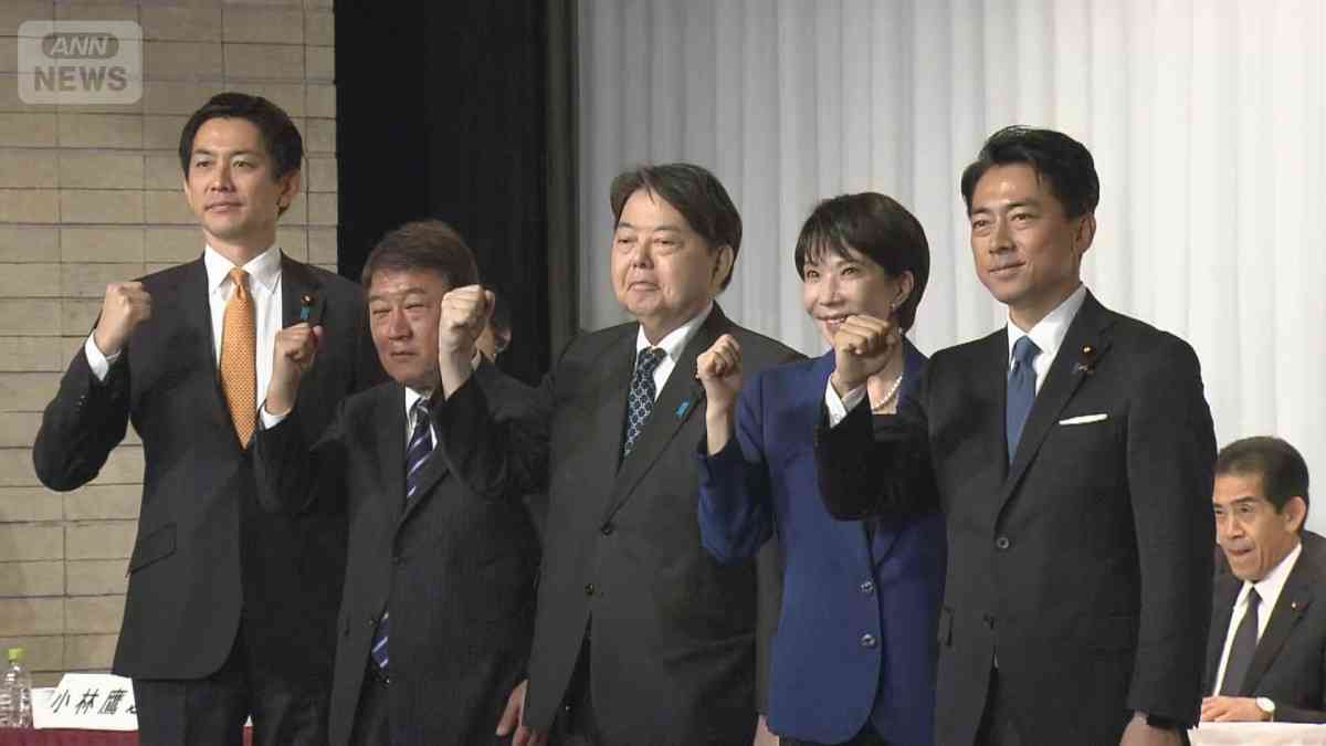 自民“次の総裁”小泉氏がトップ　ANN世論調査
