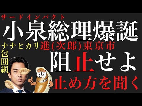 【阻止します】小泉総理爆誕の止め方を聞きました。【タロット占い】