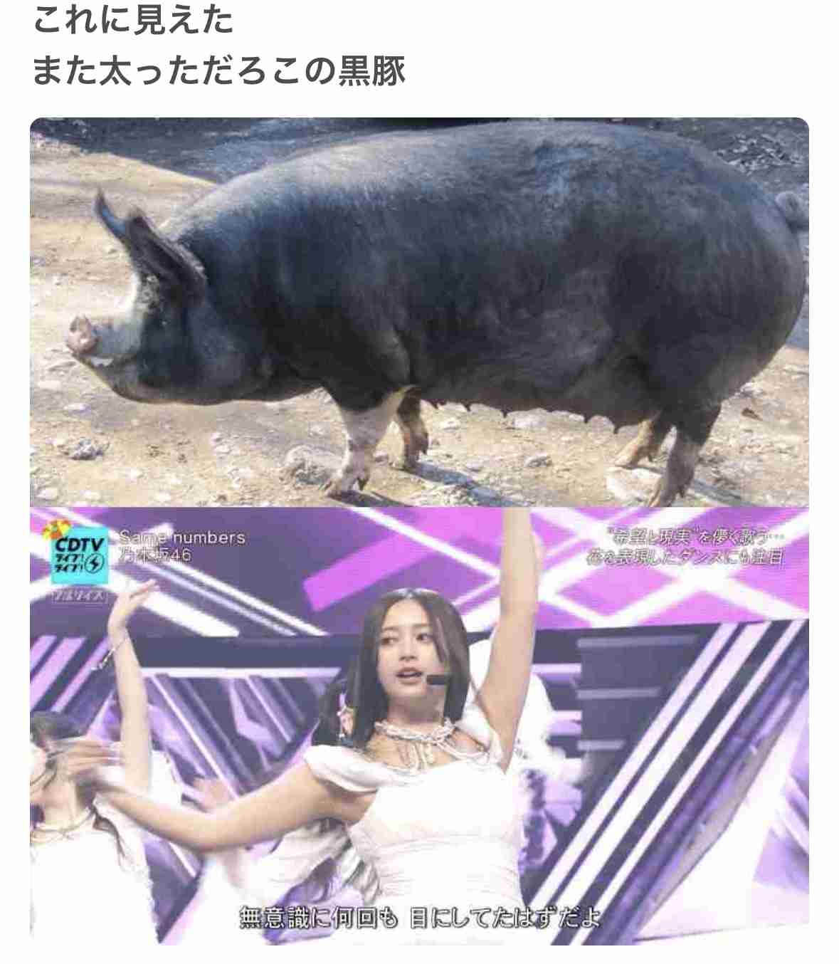 「ファンが1年で使った総額」櫻坂46首位 GLAY、Snow Manが続く