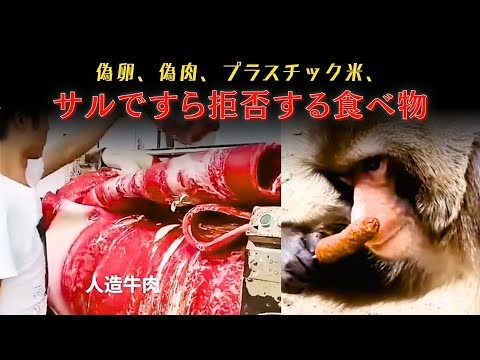 もう食べ物じゃない！中国の肉と卵の中身に隠された衝撃の真実