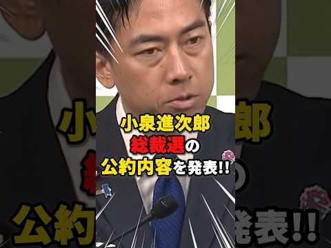 【ひどすぎる】小泉進次郎の総裁選の公約内容を発表!! #雑学 #ニュース