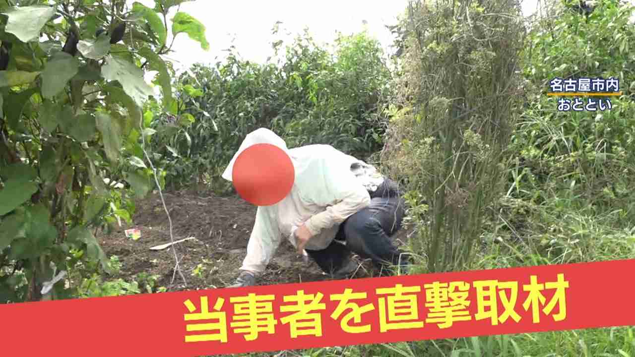 【危険】河川敷で“ヤミ畑”横行…「日本語わからない」外国人の姿も　私有地と国有地の境界が“曖昧”　行政代執行に大きな壁（FNNプライムオンライン） - Yahoo!ニュース