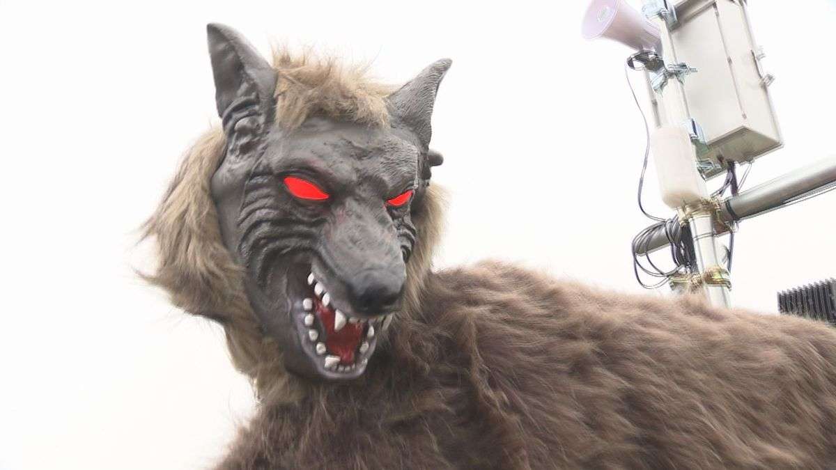 50種類以上の音　光る目　クマ対策「モンスターウルフ」の実証実験が山形市の畑で始まる（2025年9月5日掲載）｜YBC NEWS NNN