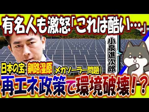 【衝撃】釧路湿原メガソーラーに有名人も激怒！小泉進次郎の再エネ政策の末路