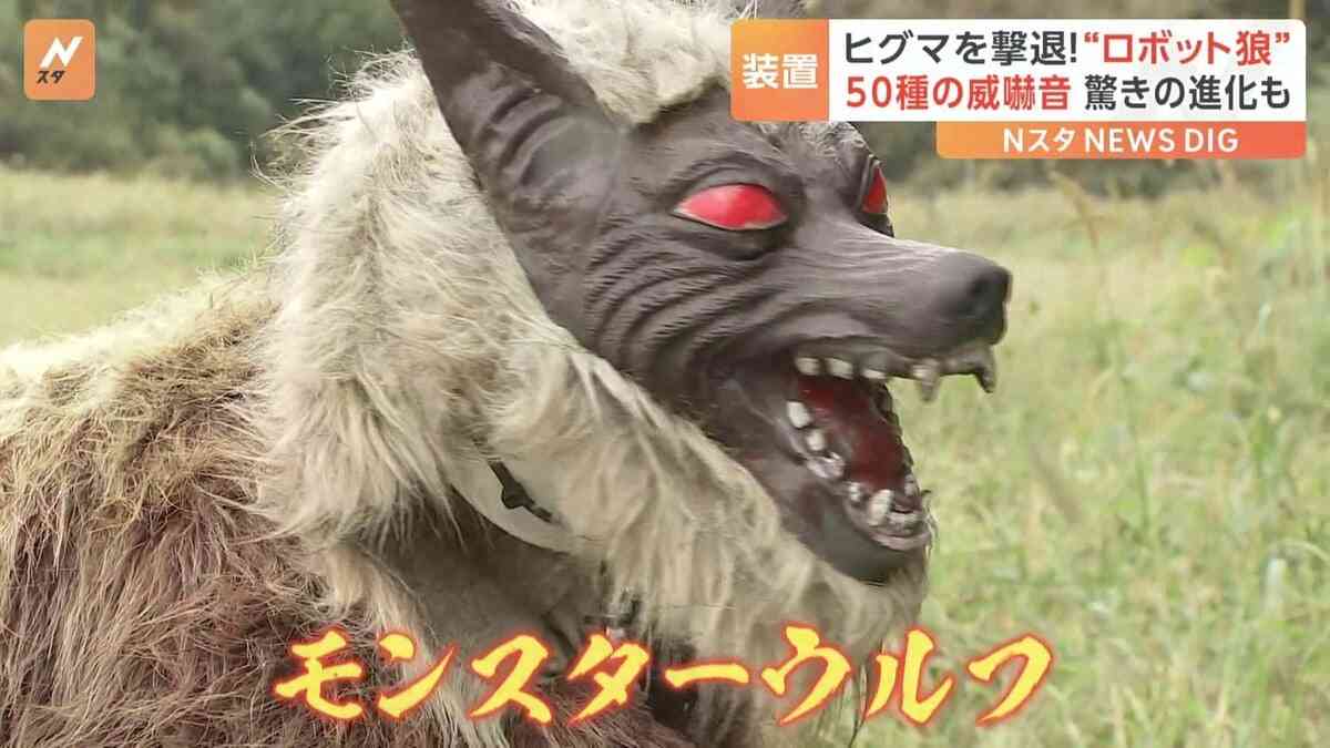 “クマ”に襲われ男性大けが　ブドウの食害が気になり夜に見回り…　秋田・大館市