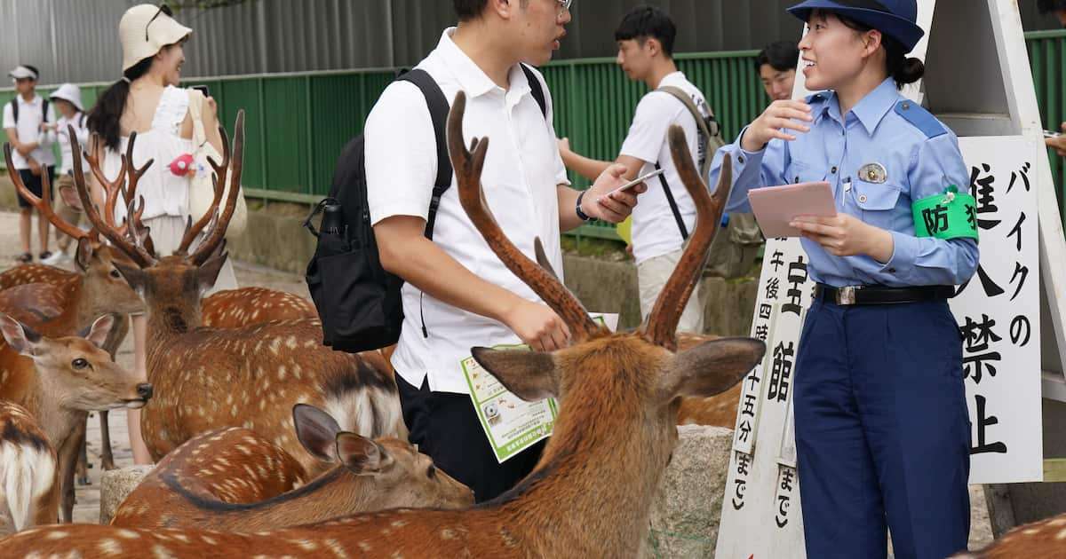「奈良のシカ」過去にはおのでたたかれ死亡例も　年々増える外国人観光客とのトラブル - 産経ニュース