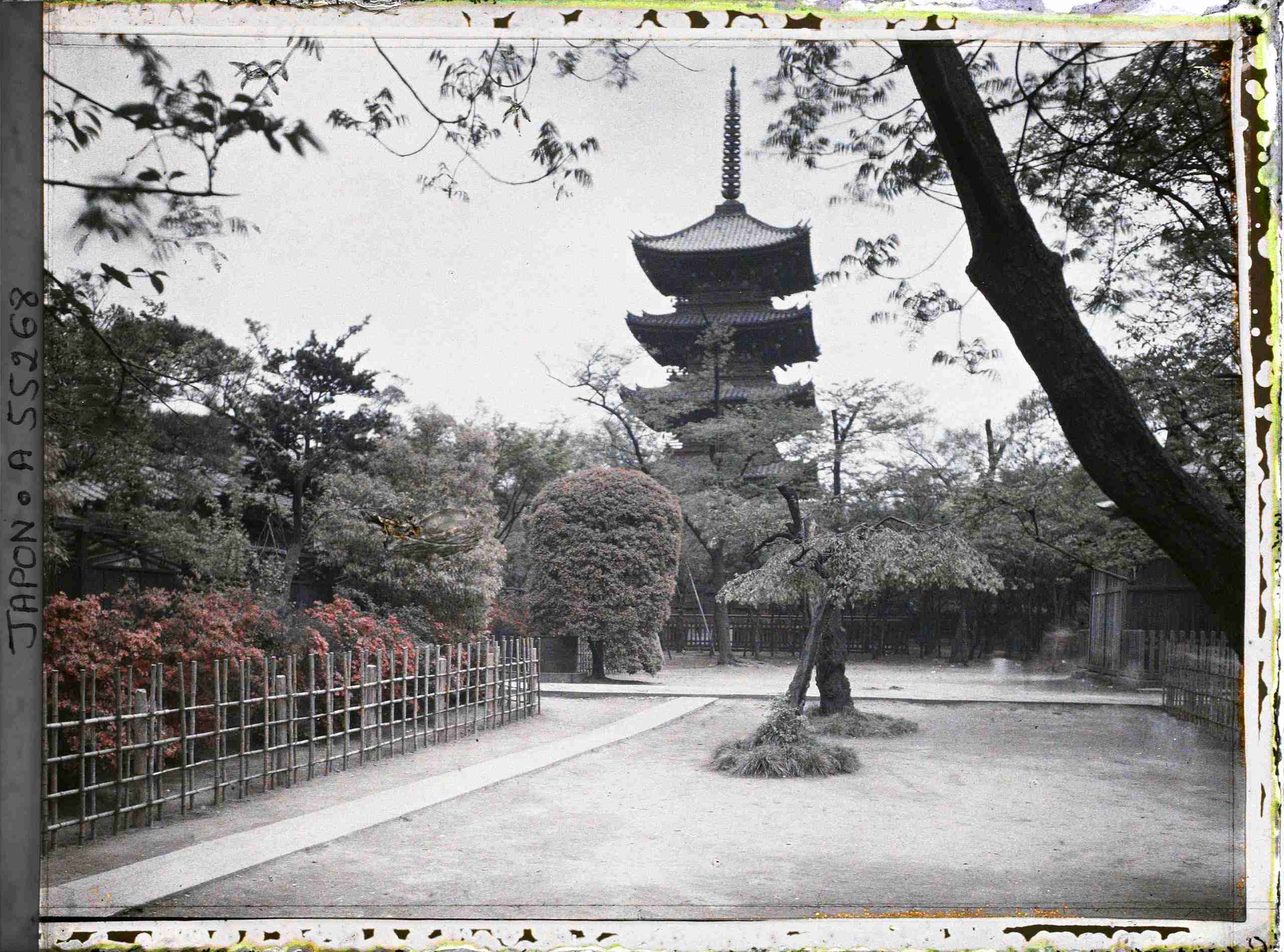 昔のカラー写真やGIFが見たい part2