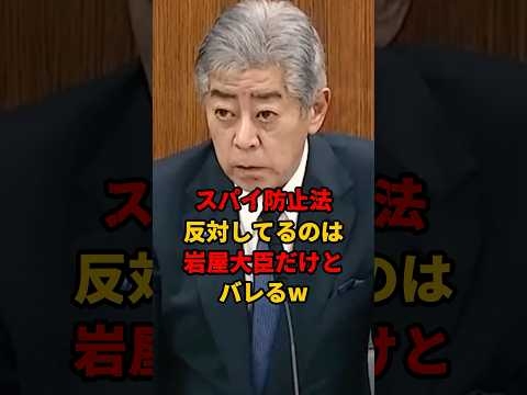 ㊗️120万再生!! スパイ防止法案に反対するって事は、つまりそういう事ですよねw #岩屋外務大臣 #柳ヶ瀬裕文  #スパイ防止法案