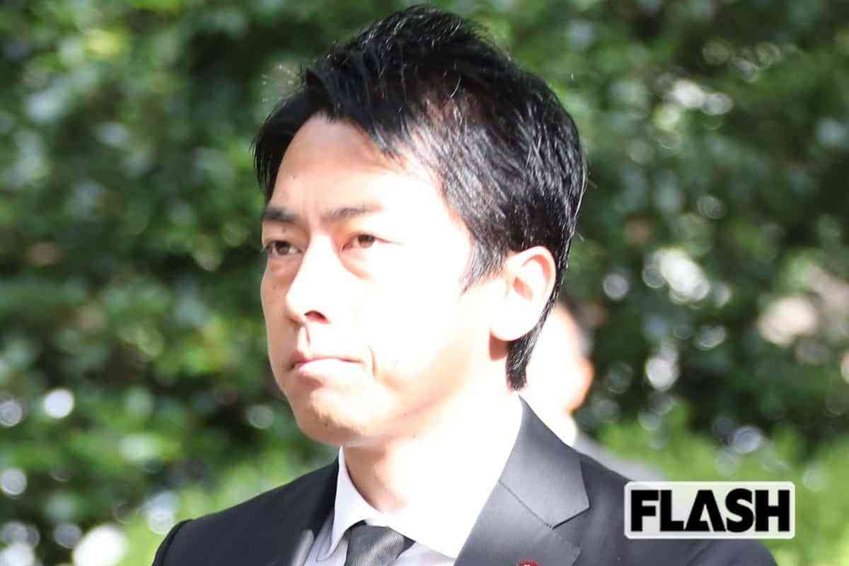 阿蘇、釧路に続き知床でも…景観破壊の元凶「太陽光パネル」思い出される小泉進次郎氏「国立公園で再エネ促進」発言