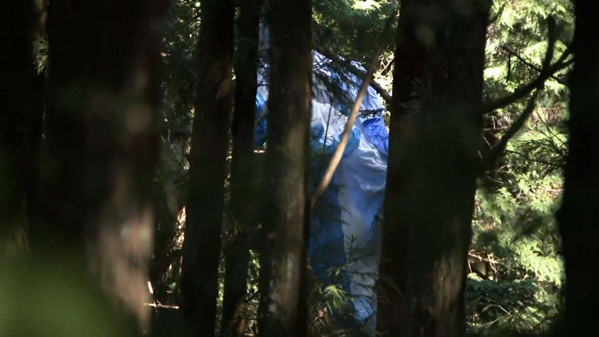 パラグライダー墜落　操縦していた70代男性が死亡　発見から救助まで約１２時間要す（高知・土佐市） | 高知のニュース・天気｜KUTV NEWS | KUTVテレビ高知 (1ページ)