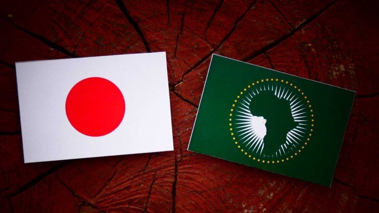 オンライン署名 · アフリカ諸国と日本の４つの町のホームタウンプロジェクトの白紙撤回を求めます - 日本 · Change.org