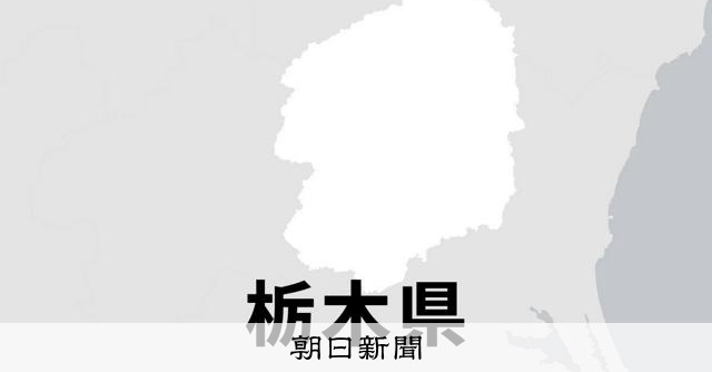 追い越し車線に停車、後続追突し男児重体　通報せず逃走容疑で男逮捕 [栃木県]：朝日新聞