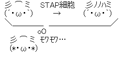 「薄毛治療費補助」「無断欠勤義務」「退職代行費会社持ち」“第三の賃上げ”人材難で過熱する『福利厚生』