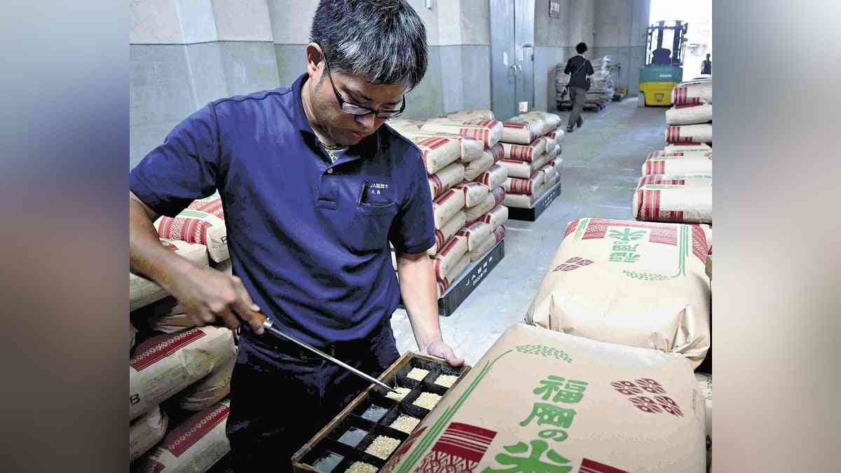 九州で新米の出荷が本格化、買い取り価格の目安は大幅上昇…福岡県産は「５キロ５０００円近くで推移しそう」：地域ニュース : 読売新聞