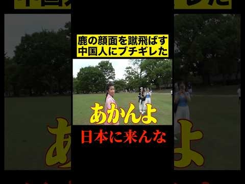 鹿の顔面を蹴飛ばす中国人の観光客が居たので注意してみた