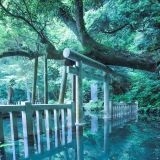 >>1それより、これちゃんと転載の許可取りしたの？写真家の有名な写真だけどガルち... | ガールズちゃんねる - Girls Channel -