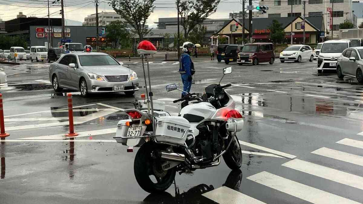 大型トラックで成人とみられる女性をはねて死亡させ逃走した疑い　47歳運転手の男を逮捕　事故後も予定通り業務を行ったか　女性は遺体の損傷激しく未だ身元不明 | TBS NEWS DIG