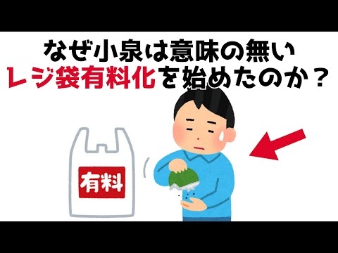 【3分で分かる】なぜ小泉は意味の無いレジ袋有料化を始めたのか？...知らないと損する政治雑学 #72