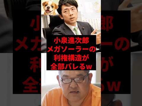 小泉進次郎、メガソーラーの利権構造が全部バレるw