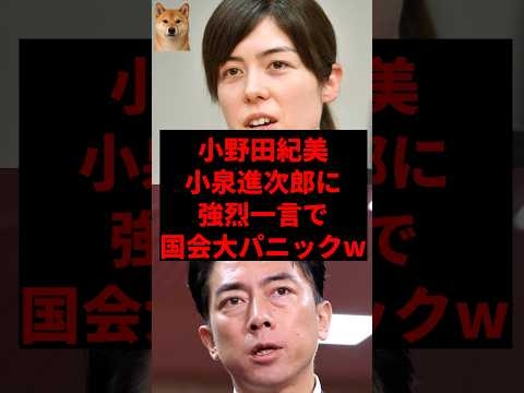 小野田紀美、小泉進次郎に強烈一言で国会大パニックw