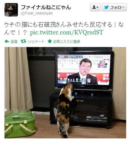 悠仁さまの成年を祝う昼食会での石破首相の乾杯マナーが物議、専門家も「口をつけるのが早すぎた」
