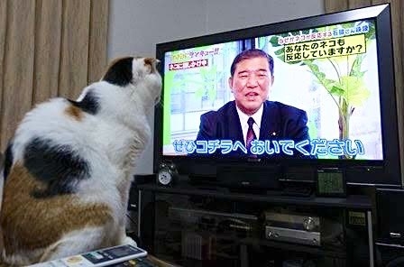 悠仁さまの成年を祝う昼食会での石破首相の乾杯マナーが物議、専門家も「口をつけるのが早すぎた」