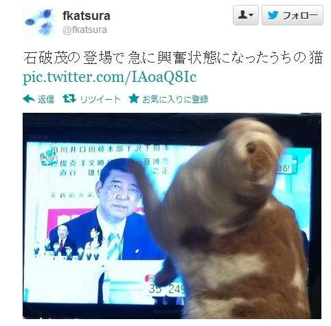 悠仁さまの成年を祝う昼食会での石破首相の乾杯マナーが物議、専門家も「口をつけるのが早すぎた」