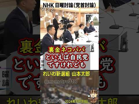 裏金ネコババといえば自民党。自民 公明 維新で作った公職選挙法の改正案。その法律の中身は「領収書の公開10年後」「黒塗りいくらでもOK」とか無茶苦茶ですよ、まさに「裏金維持法」 れいわ新選組 山本太郎