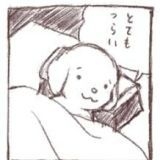 >>1因果応報って遅ければ遅いほど業が重なるから恐ろしい事になるケースが多いよ。... | ガールズちゃんねる - Girls Channel -