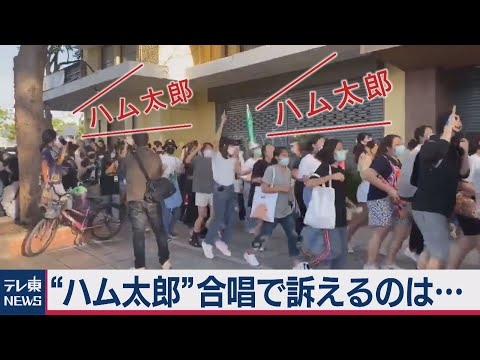 「♪大好きなのは納税者のお金」“ハム太郎”替え歌で反政府デモ タイ（2020年7月27日）